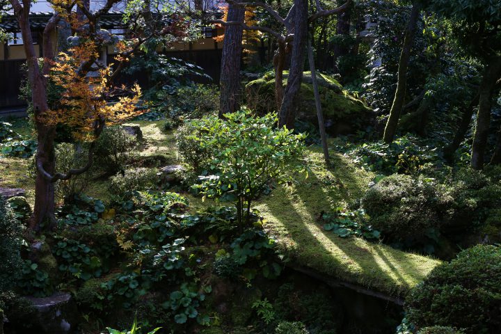 館内施設